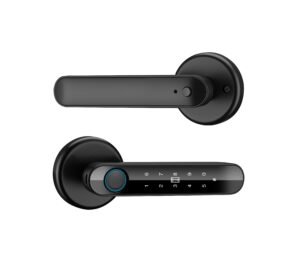 starlight smart door locks with password on handles