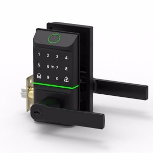 DS0058 smart door locks for airbnb rooms