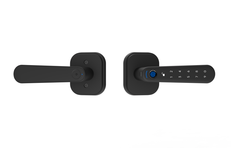 DS800 smart locks for interior doors