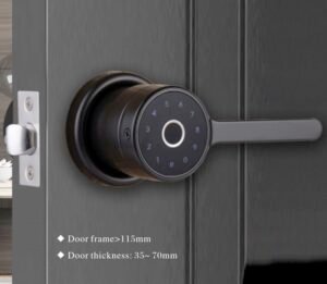 Starlight F0080 smart door locks