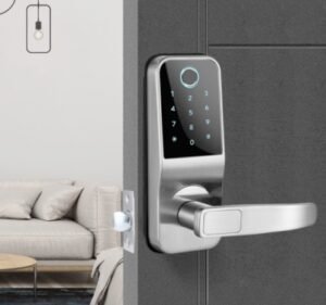 Starlight F0101 smart door locks