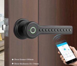 Starlight F0161 smart door locks for Korea