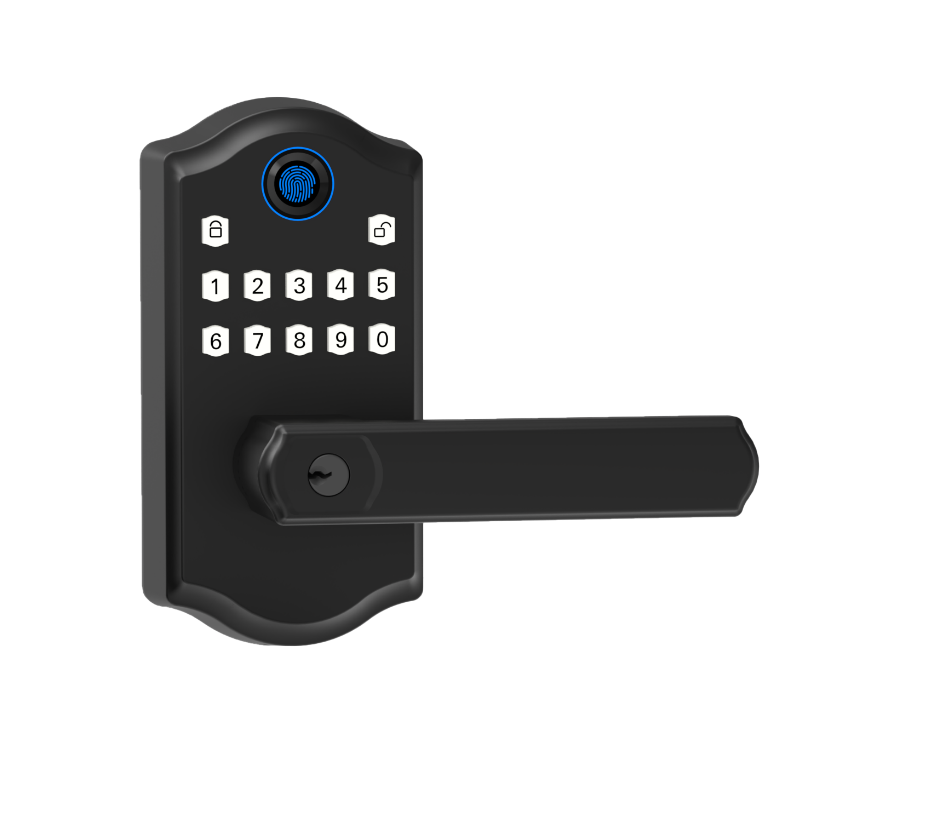 DSS700 password and fingerprint smart locks with door levers.png